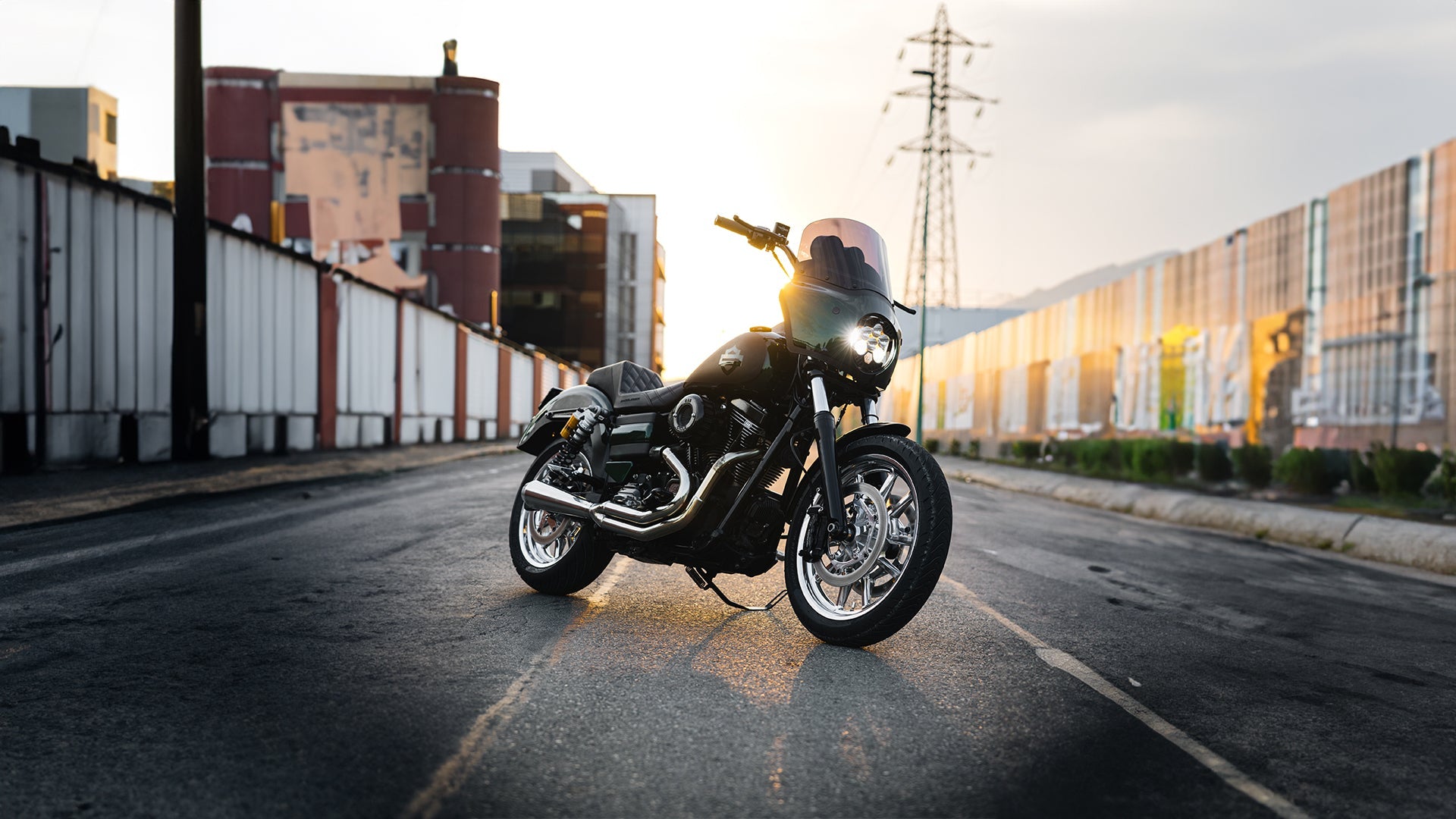 Softail