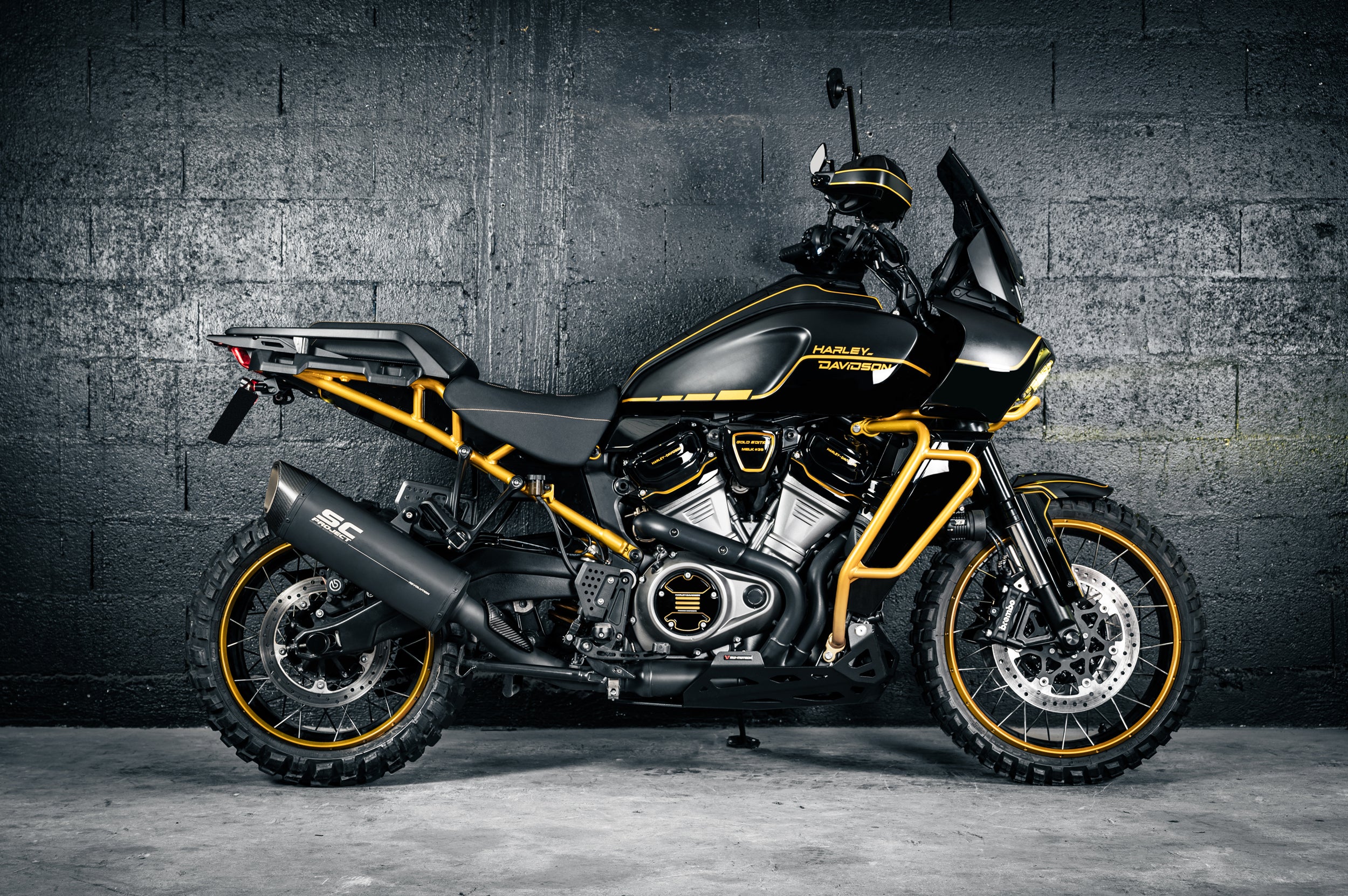 PAN AMERICA 1250s - MELK #39