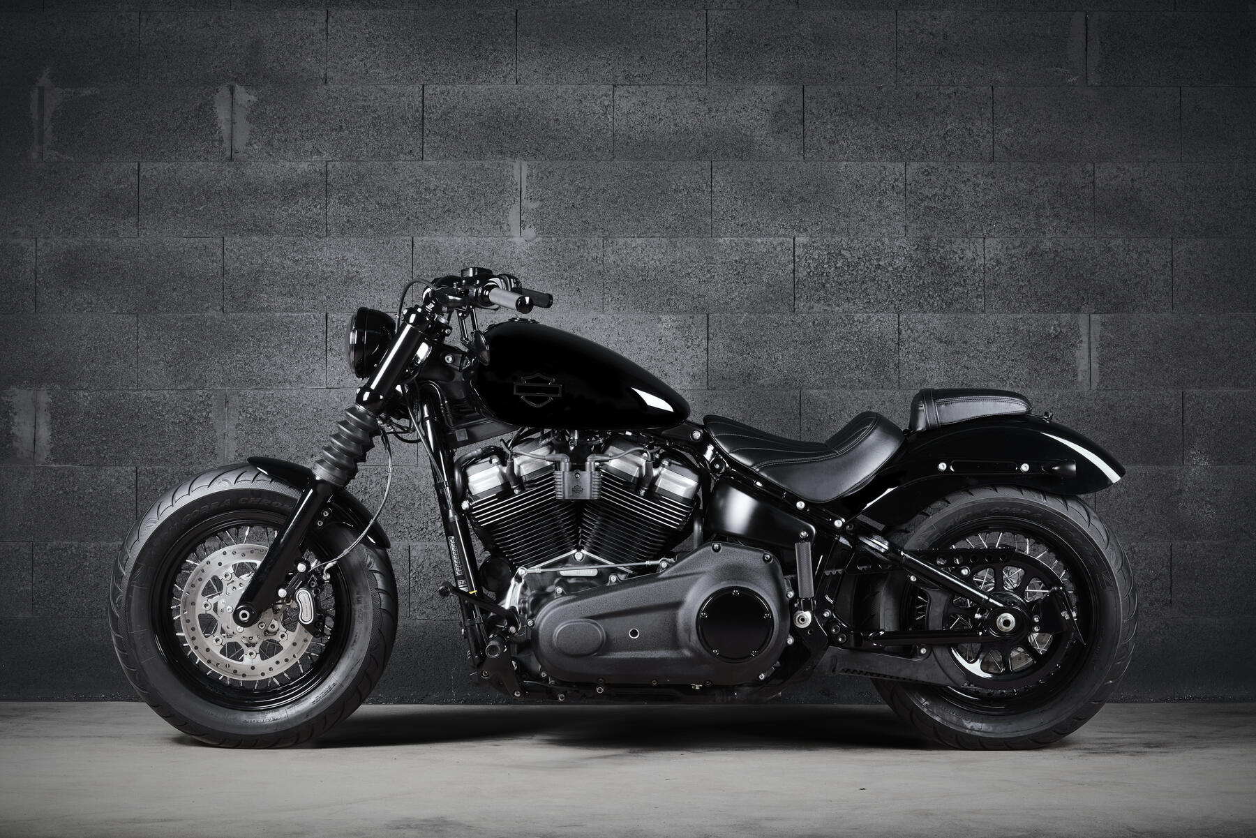 Cache courroie Rick's - Noir - Softail M8